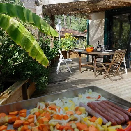 Sous Les Pins De