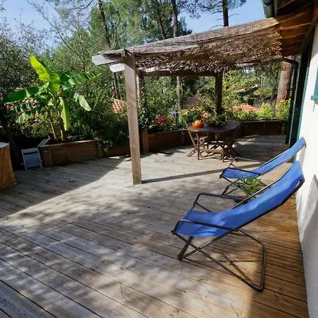 Holiday home Sous Les Pins De Moliets-et-Maa