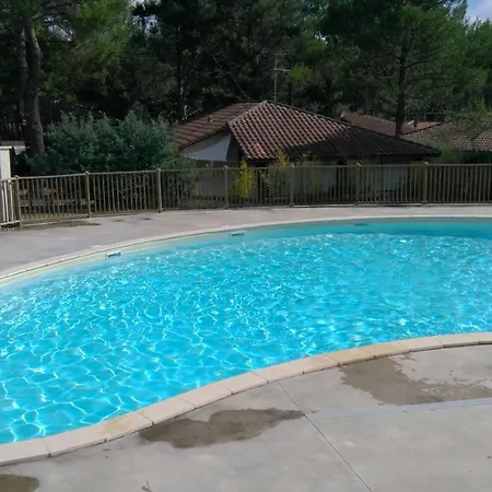 Sous Les Pins De * 莫列马阿