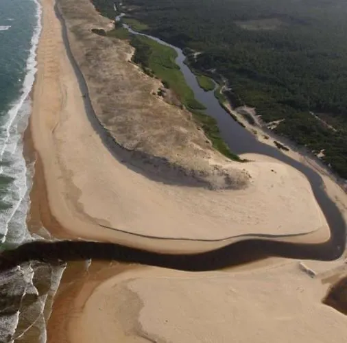 Sous Les Pins De * 莫列马阿