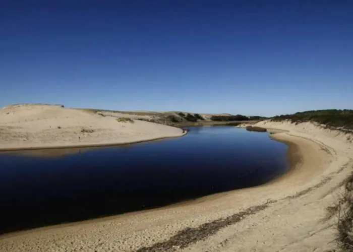 Sous Les Pins De Dom wakacyjny Moliets-et-Maa