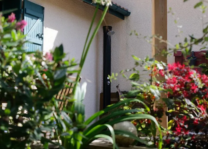 Sous Les Pins De Dom wakacyjny *