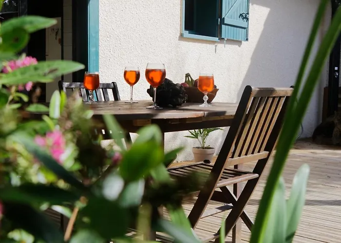 Vakantiehuis Sous Les Pins De *