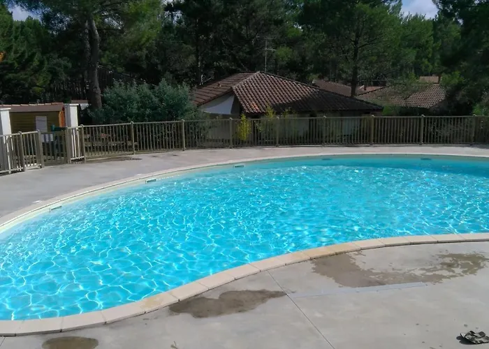 Sous Les Pins De * 莫列马阿